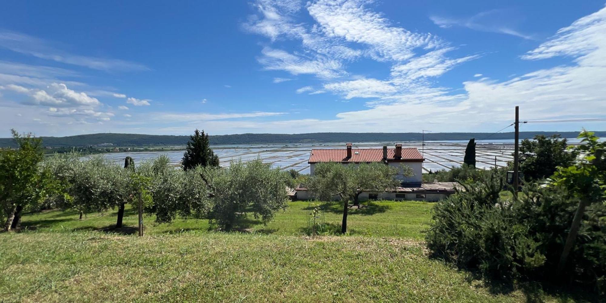 Blue Horizon Apartments Seca Portoroz